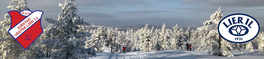 lier-ski.com